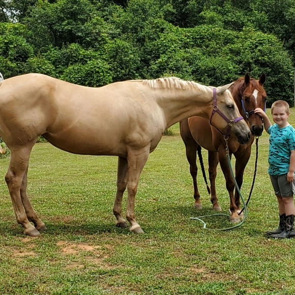 Meet your Posher, Pamela - Picture 4 of 4
